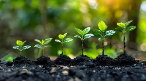 AdobeStock_821878367 (1)